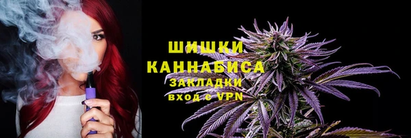 МДПВ Вяземский