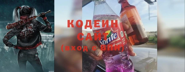 МДПВ Вяземский