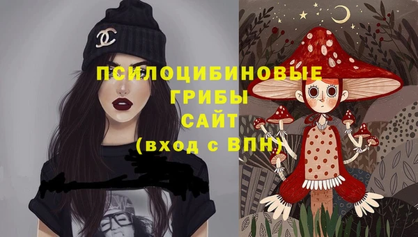 МДПВ Вяземский