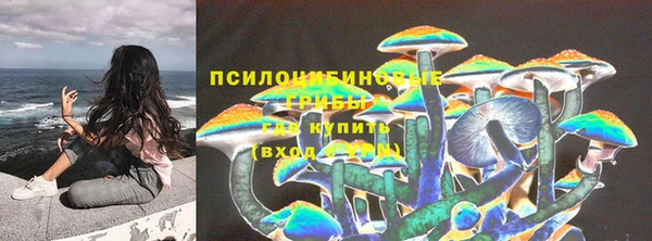 мескалин Вязьма