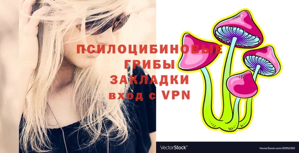 МДПВ Вяземский