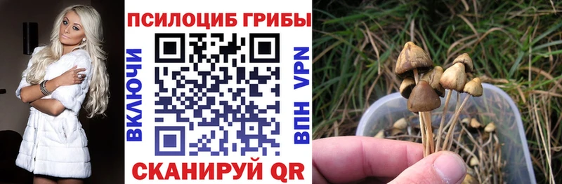 Галлюциногенные грибы GOLDEN TEACHER  Дрезна 